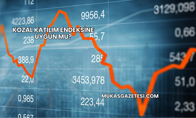 Kozal Katılım Endeksine Uygun mu?
