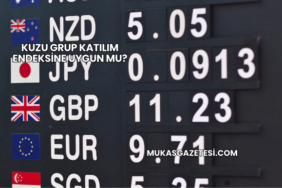 Kuzu Grup Katılım Endeksine Uygun mu?