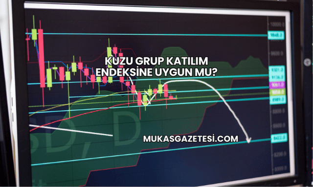 Kuzu Grup Katılım Endeksine Uygun mu?