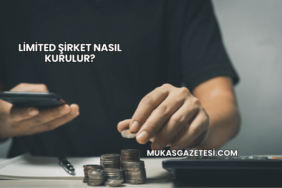 Limited Şirket Nasıl Kurulur?