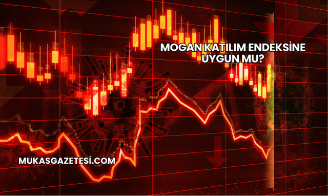 Mogan Katılım Endeksine Uygun mu?