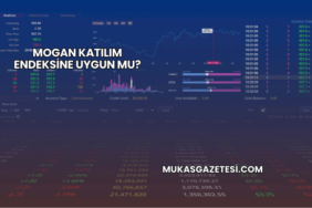 Mogan Katılım Endeksine Uygun mu?