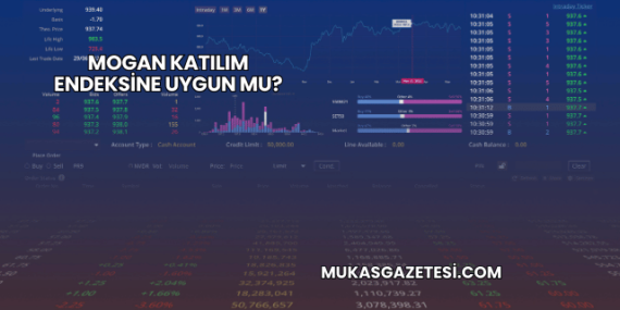 Mogan Katılım Endeksine Uygun mu?