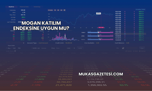 Mogan Katılım Endeksine Uygun mu?