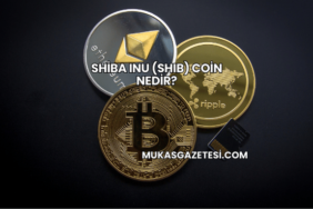 Shiba Inu (SHIB) Coin Nedir?
