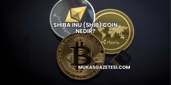 Shiba Inu (SHIB) Coin Nedir?