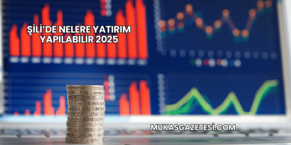 Şili’de Nelere Yatırım Yapılabilir 2025