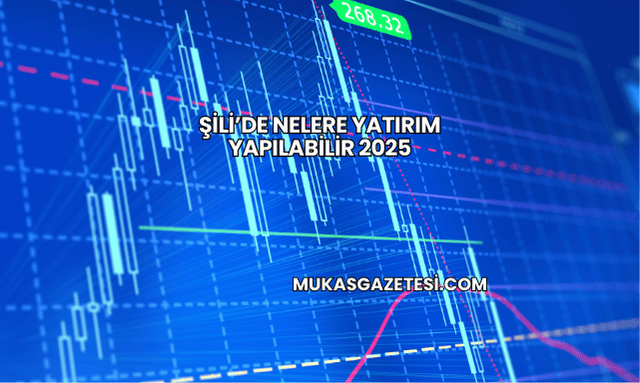 Şili’de Nelere Yatırım Yapılabilir 2025