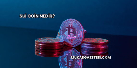 Sui Coin Nedir?