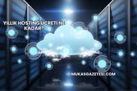 Yıllık Hosting Ücreti Ne Kadar?