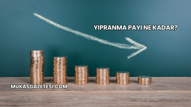 Yıpranma Payı Ne Kadar?