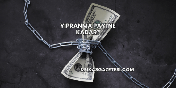 Yıpranma Payı Ne Kadar?