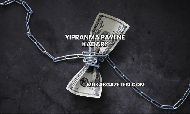 Yıpranma Payı Ne Kadar?