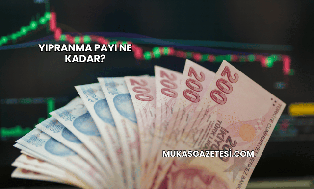 Yıpranma Payı Ne Kadar?