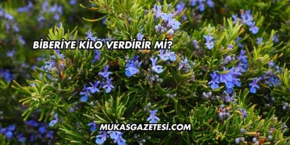 Biberiye Kilo Verdirir mi?