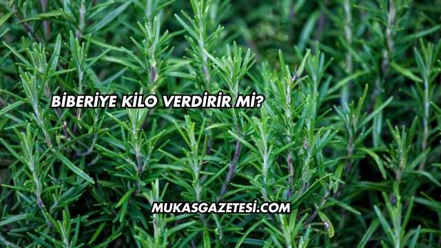 Biberiye Kilo Verdirir mi?