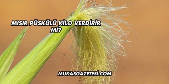 Mısır Püskülü Kilo Verdirir mi?
