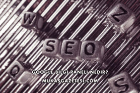 Google Bilgi Paneli Nedir?