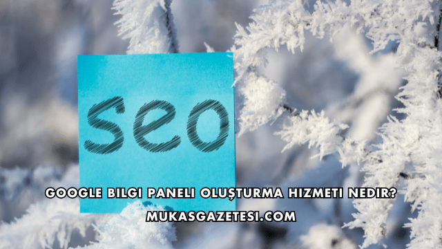 Google Bilgi Paneli Oluşturma Hizmeti Nedir?
